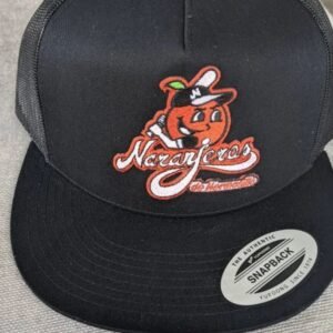 Beisbol por Estados de Mexico