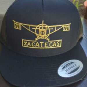 Zacatecas 701 Avion Chapo Guzman