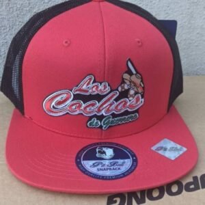 Los Cochos de Guerrero Beisbol Mexico
